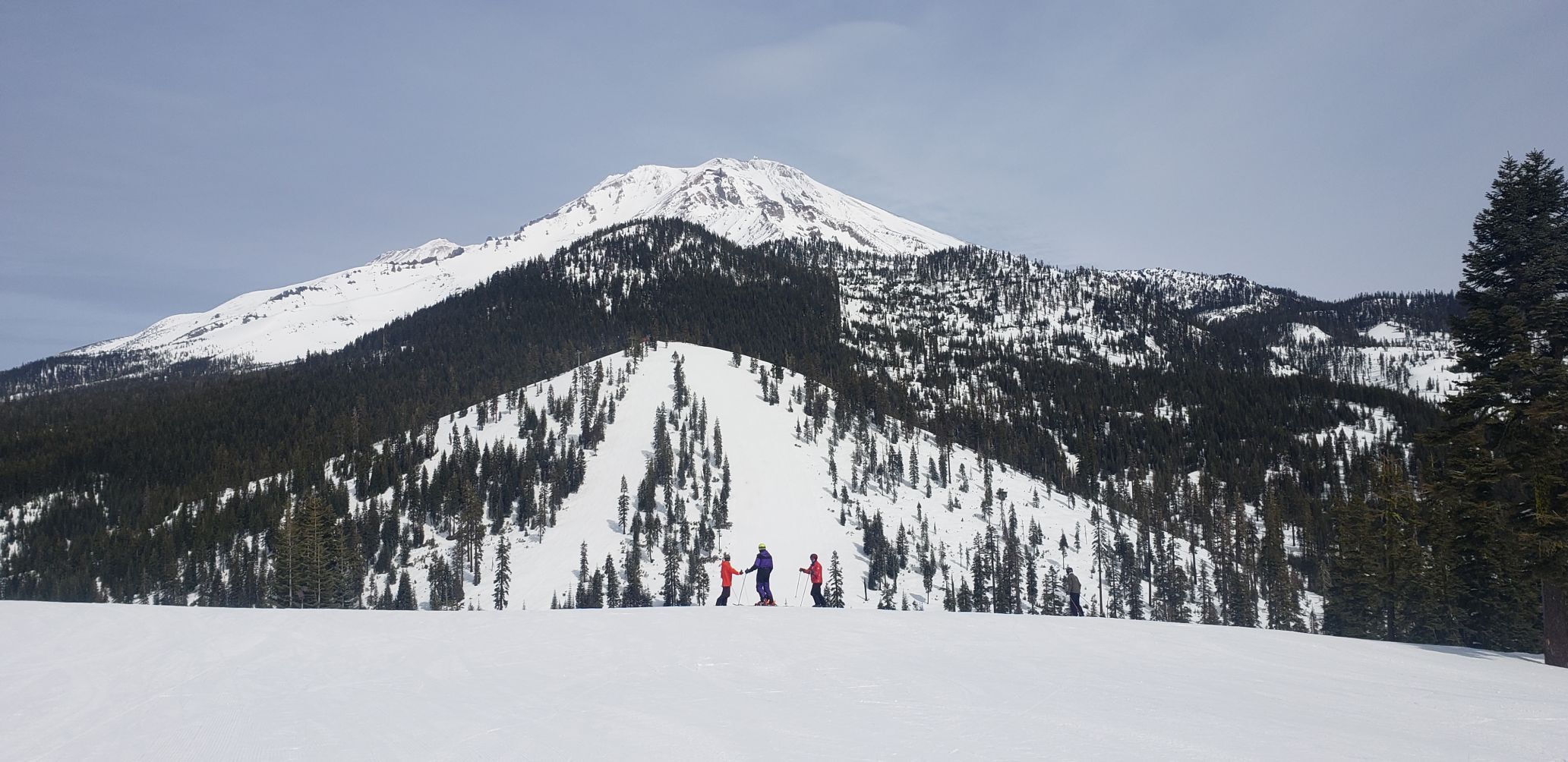Mt. Shasta.